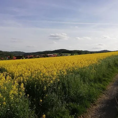 Tannenblick Apartman